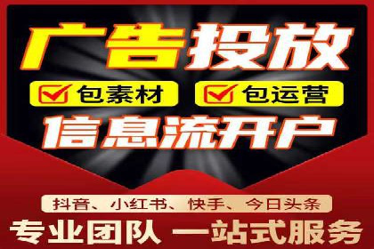 SEO与百度推广结合的营销策略——经典案例解析
